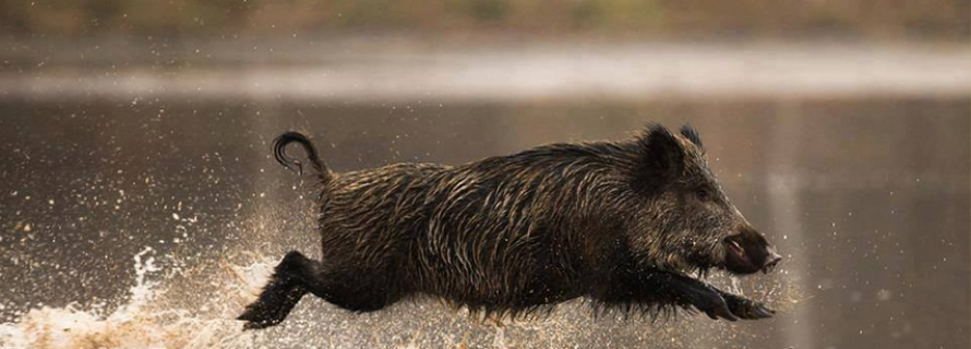 ТО с выгодой до 30%+диагностика в подарок